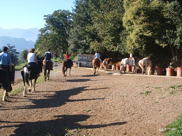  A partire dalla strada con i cavalli 